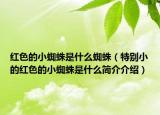 红色的小蜘蛛是什么蜘蛛（特别小的红色的小蜘蛛是什么简介介绍）