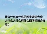 什么什么大什么的四字词语大全（大什么大什么有什么四字词简介介绍）