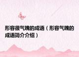 形容很气魄的成语（形容气魄的成语简介介绍）