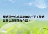 望哨是什么意思简单说一下（望哨是什么意思简介介绍）