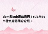 dom和sub是啥意思（sub与dom什么意思简介介绍）