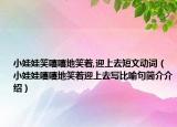 小娃娃笑嘻嘻地笑着,迎上去短文动词（小娃娃嘻嘻地笑着迎上去写比喻句简介介绍）