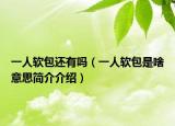一人软包还有吗（一人软包是啥意思简介介绍）