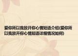 爱你所以我放开你心情短语介绍(爱你所以我放开你心情短语详细情况如何)