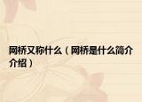 网桥又称什么（网桥是什么简介介绍）
