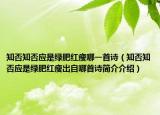 知否知否应是绿肥红瘦哪一首诗（知否知否应是绿肥红瘦出自哪首诗简介介绍）