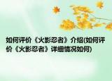 如何评价《火影忍者》介绍(如何评价《火影忍者》详细情况如何)
