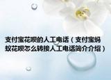 支付宝花呗的人工电话（支付宝蚂蚁花呗怎么转接人工电话简介介绍）