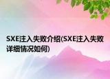 SXE注入失败介绍(SXE注入失败详细情况如何)