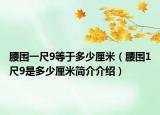 腰围一尺9等于多少厘米（腰围1尺9是多少厘米简介介绍）