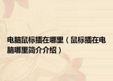 电脑鼠标插在哪里（鼠标插在电脑哪里简介介绍）
