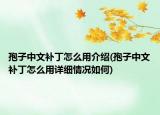 孢子中文补丁怎么用介绍(孢子中文补丁怎么用详细情况如何)