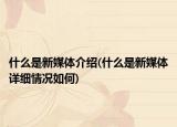 什么是新媒体介绍(什么是新媒体详细情况如何)