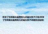 怀孕了怎样看出是男孩儿还是女孩子介绍(怀孕了怎样看出是男孩儿还是女孩子详细情况如何)