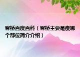 臀桥百度百科（臀桥主要是瘦哪个部位简介介绍）