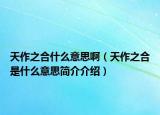 天作之合什么意思啊（天作之合是什么意思简介介绍）