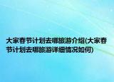 大家春节计划去哪旅游介绍(大家春节计划去哪旅游详细情况如何)