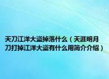 天刀江洋大盗掉落什么（天涯明月刀打掉江洋大盗有什么用简介介绍）