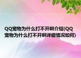 QQ宠物为什么打不开啊介绍(QQ宠物为什么打不开啊详细情况如何)