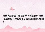 QQ飞车图标一共有多少个等级介绍(QQ飞车图标一共有多少个等级详细情况如何)