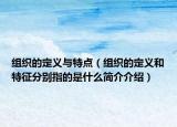 组织的定义与特点（组织的定义和特征分别指的是什么简介介绍）