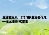 生活像花儿一样介绍(生活像花儿一样详细情况如何)