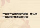 什么呼什么唤的四字词语（什么呼什么唤四字成语简介介绍）