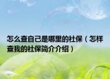 怎么查自己是哪里的社保（怎样查我的社保简介介绍）