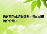 描述雪的成语有哪些（雪的成语简介介绍）