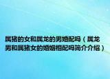 属猪的女和属龙的男婚配吗（属龙男和属猪女的婚姻相配吗简介介绍）