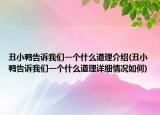 丑小鸭告诉我们一个什么道理介绍(丑小鸭告诉我们一个什么道理详细情况如何)