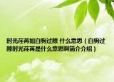 时光荏苒如白驹过隙 什么意思（白驹过隙时光荏苒是什么意思啊简介介绍）