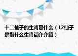十二仙子的生肖是什么（12仙子是指什么生肖简介介绍）