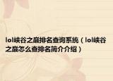 lol峡谷之巅排名查询系统（lol峡谷之巅怎么查排名简介介绍）