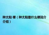 种太阳 梗（种太阳是什么梗简介介绍）