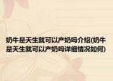 奶牛是天生就可以产奶吗介绍(奶牛是天生就可以产奶吗详细情况如何)