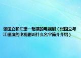 张国立和江珊一起演的电视剧（张国立与江珊演的电视剧叫什么名字简介介绍）