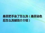 桑葚把手染了怎么洗（桑葚染色后怎么洗掉简介介绍）