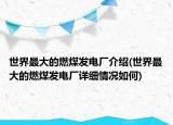 世界最大的燃煤发电厂介绍(世界最大的燃煤发电厂详细情况如何)