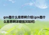 gzs是什么意思啊介绍(gzs是什么意思啊详细情况如何)