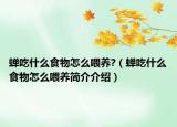 蝉吃什么食物怎么喂养?（蝉吃什么食物怎么喂养简介介绍）