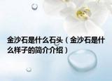 金沙石是什么石头（金沙石是什么样子的简介介绍）