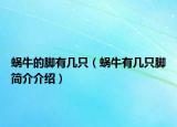 蜗牛的脚有几只（蜗牛有几只脚简介介绍）