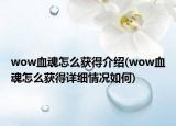 wow血魂怎么获得介绍(wow血魂怎么获得详细情况如何)