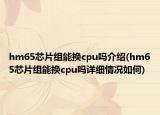 hm65芯片组能换cpu吗介绍(hm65芯片组能换cpu吗详细情况如何)