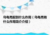 乌龟壳起到什么作用（乌龟壳有什么作用简介介绍）