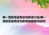 哪一首歌里面有这句歌词介绍(哪一首歌里面有这句歌词详细情况如何)