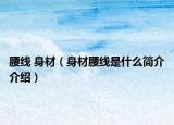 腰线 身材（身材腰线是什么简介介绍）