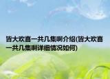 皆大欢喜一共几集啊介绍(皆大欢喜一共几集啊详细情况如何)