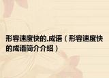 形容速度快的,成语（形容速度快的成语简介介绍）